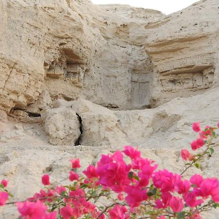 Vila Dead Sea Dawn Neot HaKikar Exteriér fotografie