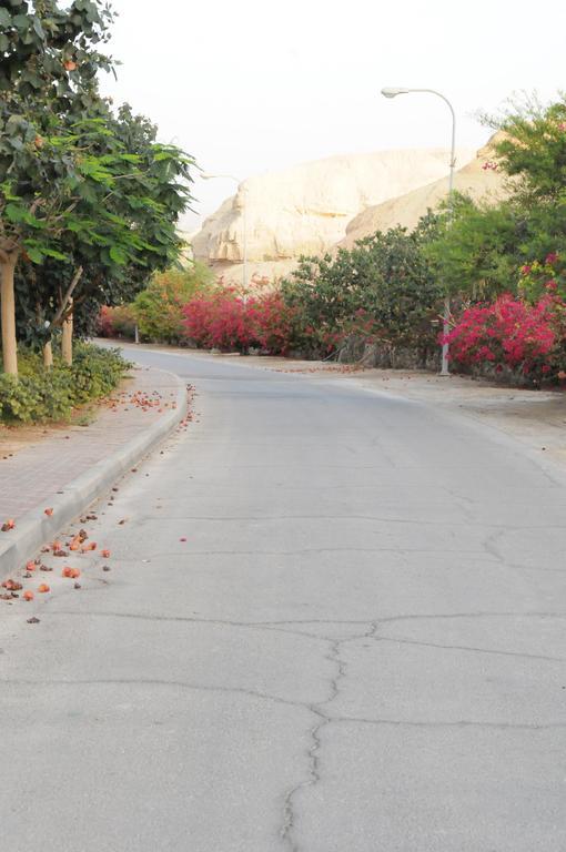 Vila Dead Sea Dawn Neot HaKikar Exteriér fotografie