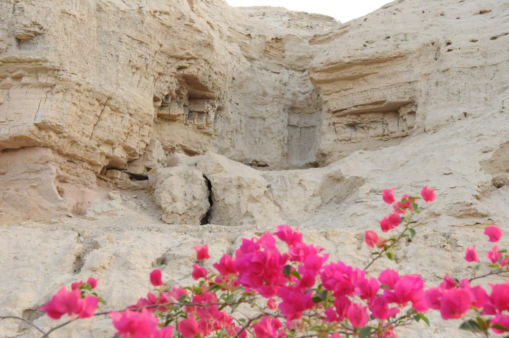 Vila Dead Sea Dawn Neot HaKikar Exteriér fotografie
